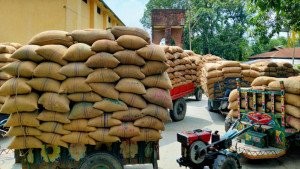 কার্ড কৃষকের, গুদামে ধান দেন মিলার-নেতারা