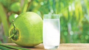 সুস্বাস্থ্যের জন্য ডাবের পানি