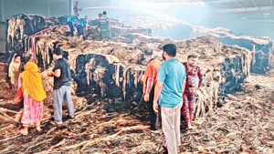 পাটকলের গুদাম পুড়ে ১০ কোটির ক্ষয়ক্ষতি