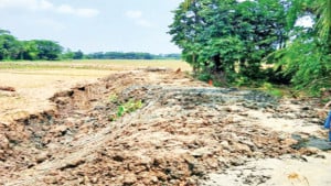সরকারি হালট ভরাট করে চাষের জমি বাড়ি