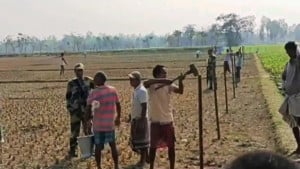 দহগ্রাম সীমান্তে ফের কাঁটাতারের বেড়া দিল বিএসএফ