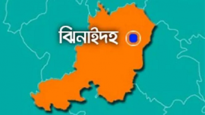 শেয়ালের তাড়া খেয়ে গাছে উঠল মেছোবাঘ, আটক করল গ্রামবাসী