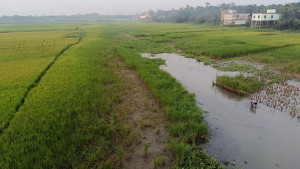 জলাশয় শুকিয়ে পানি সংকট বিপাকে বোরো চাষিরা