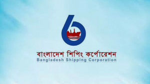 মুনাফা বাড়লেও লভ্যাংশ না বাড়ানোয় বিএসসির শেয়ারে বড় দরপতন