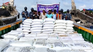মাদকের বিনিময়ে সার পাচারের সময় ৯ পাচারকারী আটক
