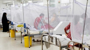 ডেঙ্গুতে আরও তিনজনের মৃত্যু, হাসপাতালে ৬১৫