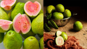পেয়ারা না লেবু-কোনটি বেশি উপকারী?