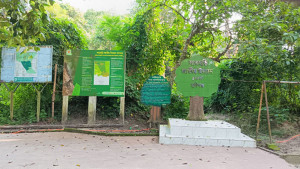 সাতছড়ি জাতীয় উদ্যানে মায়া হরিণের দেখা