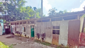 রশি দিয়ে বাঁধা সিলিং ফ্যান গরমে কাবু শিশু শিক্ষার্থীরা