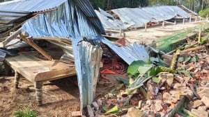 রাতভর খামারে দুর্বৃত্তের তাণ্ডব কর্মচারী আহত, ক্ষতি ২৫ লাখ