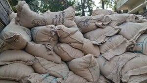 টিসিবির ২৪৮  বস্তা চাল জব্দ  ডিলার আটক