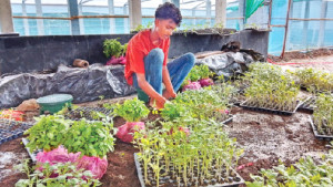 ভিন্নধর্মী সবজি নার্সারিতে স্বপ্ন দেখছেন ভাই-বোন