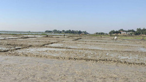 বীজতলা তৈরির ব্যস্ততায় শুরু বোরো মৌসুম