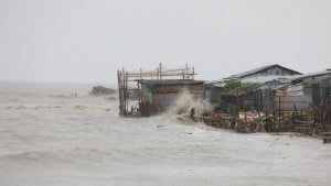 ১২ নভেম্বর হোক ‘উপকূল দিবস’