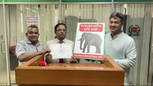 যুক্তরাষ্ট্রের মতো বাংলাদেশ রিপাবলিকান পার্টিও পেলো হাতি প্রতীক
