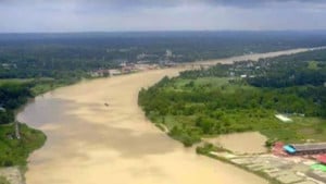 হালদা নদীতে ভেসে উঠল ২০ কেজির মরা কাতলা, সুরতহাল শেষে মাটিচাপা