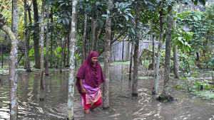 বালু দিয়ে ভরাট কালভার্টের মুখ, ৫০ পরিবার পানিবন্দি