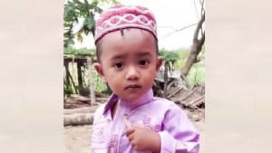 মশারির ভেতর ঘুমাচ্ছিল শিশুটি, সাপের ছোবলে গেল প্রাণ