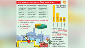 গ্যাস এনেও উৎপাদন সাশ্রয়ী তবু বাড়ছে সার আমদানি