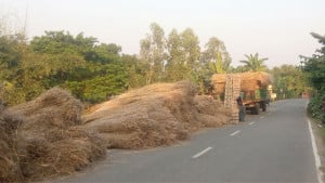 কাশখড় যাচ্ছে ভূমিদস্যুর হাতে অসহায় প্রকৃত জমির মালিক