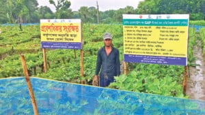 নিরাপদ খাদ্য উৎপাদনে নতুন উদ্যোগ