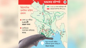 দূষিত বুড়িগঙ্গা ও বংশী নদীতেও ডলফিন