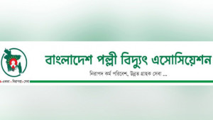 উপদেষ্টার আশ্বাসে পল্লী  বিদ্যুৎ সমিতির গণছুটি কর্মসূচি স্থগিত