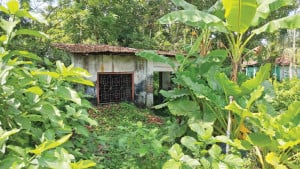 ইসির পর্যবেক্ষক সংস্থার ঠিকানায় মিলল জঙ্গল, দোকান, বাড়ি