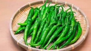 সাইনাসের সমস্যায় কাঁচা মরিচ কেন খাবেন?