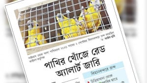সেই পাখির সন্ধানে ইন্টারপোলের সহায়তা চাইল বাংলাদেশ