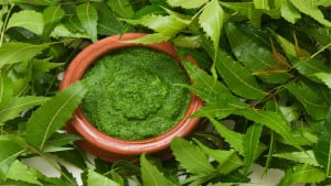 ত্বক ডিটক্সে সহায়ক নিম পাতা