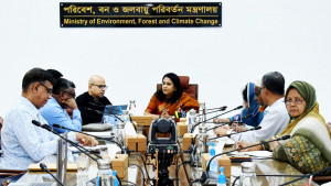 বনের গাছ চুরি ও পাচার রোধে আনা হচ্ছে প্রযুক্তি নির্ভর নজরদারিতে: পরিবেশ উপদেষ্টা