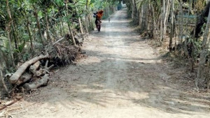 ভোট আসে ভোট যায় রাস্তা আর হয় না