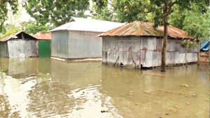 বৃষ্টি ও উজানের ঢলে তিস্তায় ফের পানি বৃদ্ধি, বন্যার শঙ্কা