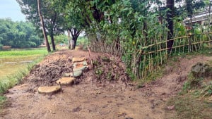 নামমাত্র কাজে লোপাট টিআর ও কাবিটার সাড়ে ৫ কোটি টাকা