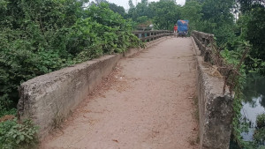 অর্ধশতাধিক সরু সেতু যেন গলার কাঁটা