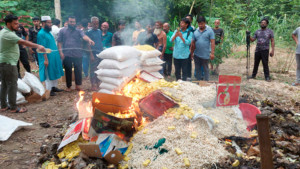 ‘দেশি-বিদেশি সাবান’ তৈরি হচ্ছিল ঘিওরের গ্রামে
