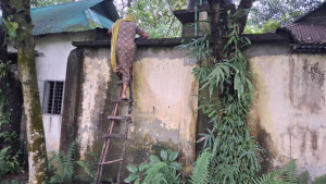 বসতভিটা বিক্রি না করায় বেড়া চারপাশে, গৃহবন্দি মা-ছেলে