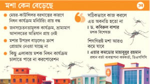 মশায় দিশেহারা নগরবাসী