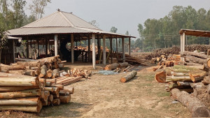 স্কুল ঘেঁষে অবৈধ ৭৫ করাতকল