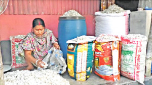 হেলায় পড়ে থাকা মাছের আঁশ এখন আয়ের উৎস