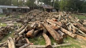 বনের চিঠি আমলে নিচ্ছে না বিদ্যুৎ