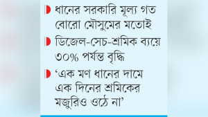 খরচ বাড়লেও বাড়েনি ধানের দাম লোকসানের শঙ্কায় কৃষক