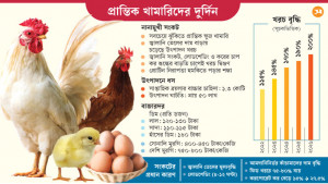 পোলট্রি শিল্প চাপে, কমছে উৎপাদন, বাড়ছে দাম