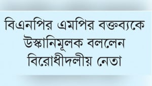 সংসদেও উত্তাপ, জামায়াতের বিরুদ্ধে চক্রান্তের অভিযোগ