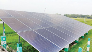 কৃষকের ভরসা সোলার সেচ পাম্প, খরচ অর্ধেক