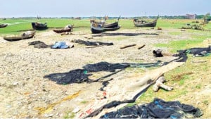 বরাদ্দ চাল মেলেনি ১০ দিনেও