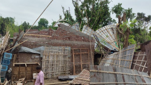 কালবৈশাখীর তাণ্ডবে আমবাগান বিধ্বস্ত