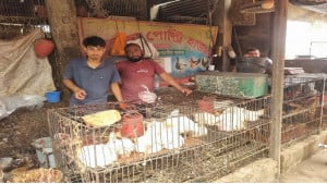 নিত্যপণ্যের বাজারে অস্থিরতা তেলের সংকটে ভোগান্তি