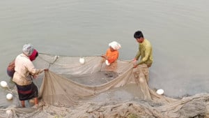 কাপ্তাই হ্রদে মাছ শিকারে তিন মাসের নিষেধাজ্ঞা শুরু